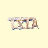 TSTA lapel pin 2